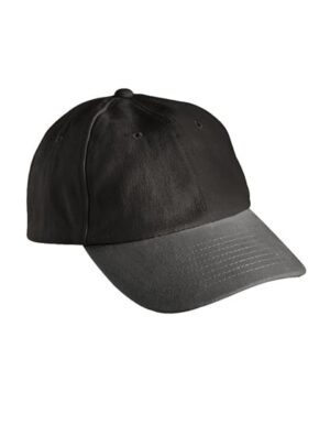 6-panel pet