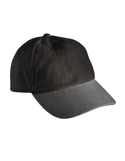 6-panel pet